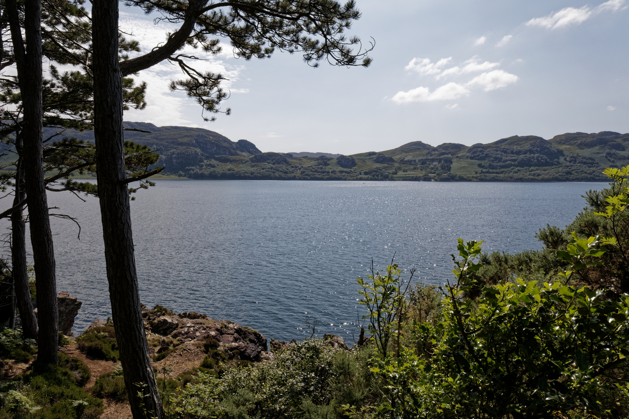 inverewe (4).webp